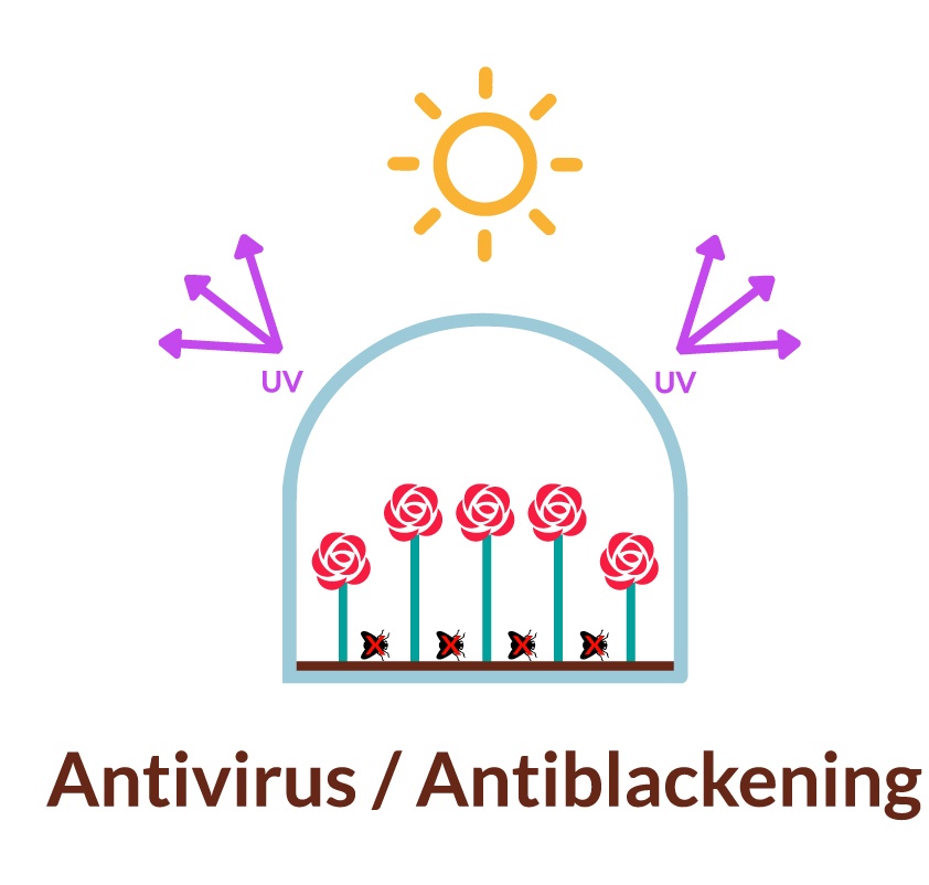 LOGO-ANTIVIRUS.png