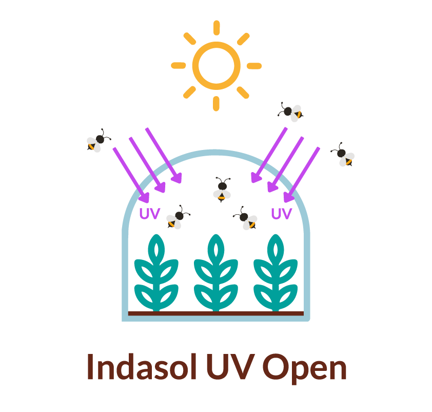 INDASOL-UV-OPEN.png