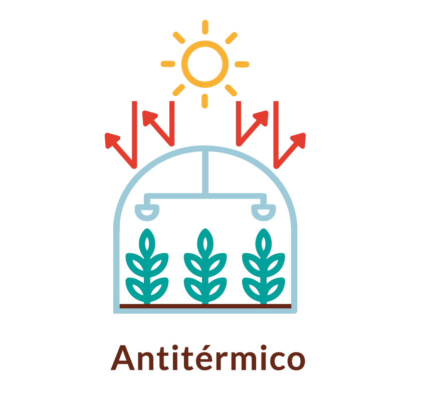 antitermico.png